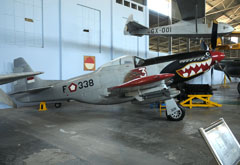 North American P-51D Mustang F-338 and Grunau Baby GX-001 Indonesian Air Force